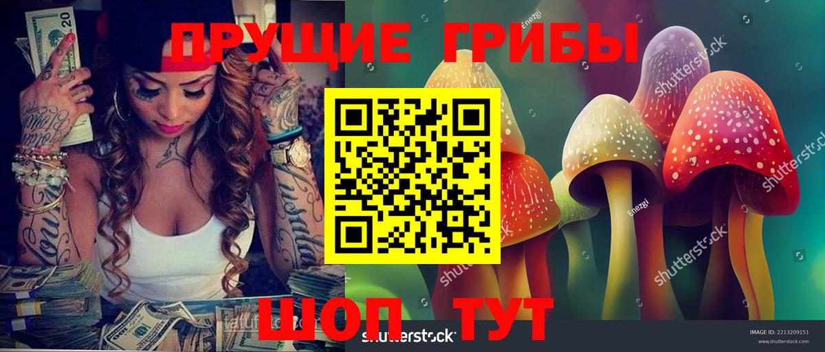 Псилоцибиновые грибы Magic Shrooms Спасск-Дальний